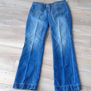 Ann Taylor LOFT Curvy Fit Jeans